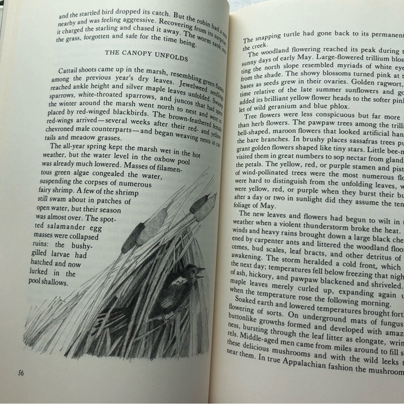 Idle Weeds: The Life of Sandstone Ridge by David Rains Wallace, hardcover ex lib - Picture 13 of 17